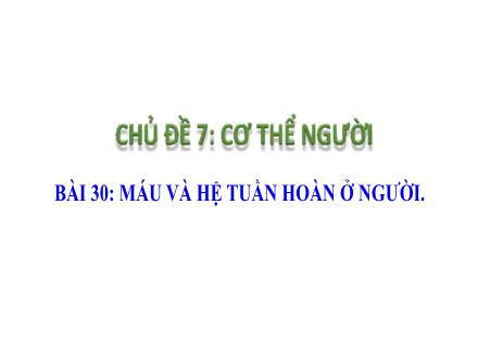 Bài giảng Khoa học tự nhiên 8 - Chủ đề 7: Cơ thể người - Bài 30: Máu và hệ tuần hoàn ở người