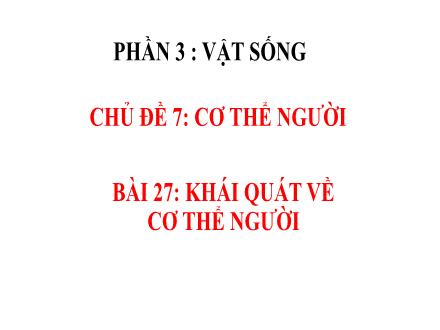 Bài giảng Khoa học tự nhiên 8 - Phần 3: Vật sống - Chủ đề 7: Cơ thể người - Bài 27: Khái quát về cơ thể người
