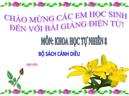 Bài giảng Khoa học tự nhiên 8 Sách Cánh diều - Bài 12: Muối