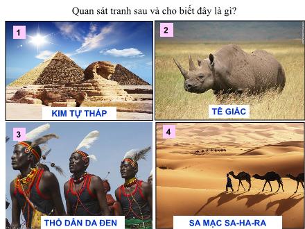 Bài giảng Lịch sử 9 - Bài 6: Các nước Châu Phi