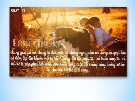 Bài giảng Ngữ văn 6 - Bài: Đọc hiểu Tại sao nên có vật nuôi trong nhà?