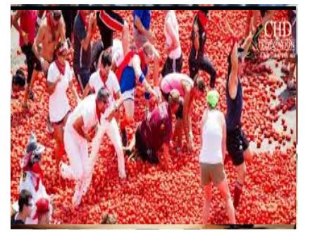 Bài giảng Ngữ văn 8 - Bài: Đánh nhau với cối xay gió