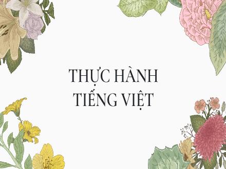 Bài giảng Ngữ văn 8 - Bài: Thực hành Tiếng Việt Từ toàn dân