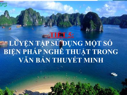 Bài giảng Ngữ văn 9 - Bài: Luyện tập sử dụng một số biện pháp nghệ thuật trong văn bản thuyết minh