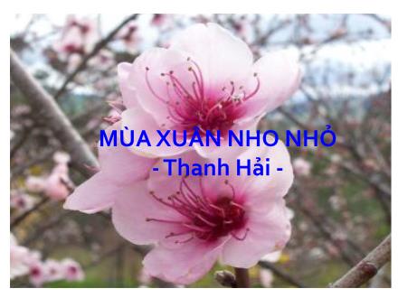 Bài giảng Ngữ văn 9 - Bài: Mùa xuân nho nhỏ