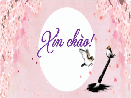 Bài giảng Ngữ văn 9 - Bài: Thực hành Tiếng Việt Một số hiểu biết về chữ Nôm và chữ Quốc ngữ