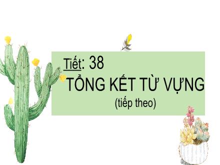 Bài giảng Ngữ văn 9 - Bài: Tổng kết từ vựng