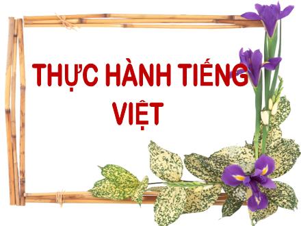Bài giảng Ngữ văn Lớp 7 - Bài: Thực hành Tiếng Việt