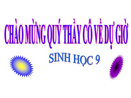 Bài giảng Sinh học 9 - Bài 11: Phát sinh giao tử và thụ tinh