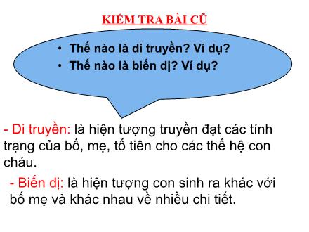 Bài giảng Sinh học 9 - Bài 2: Lai một cặp tính trạng