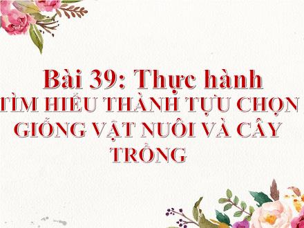 Bài giảng Sinh học 9 - Bài 39: Thực hành tìm hiểu thành tựu chọn giống vật nuôi và cây trồng