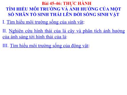 Bài giảng Sinh học 9 - Bài 45: Thực hành tìm hiểu môi trường và ảnh hưởng của một số nhân tố sinh thái lên đời sống sinh vật