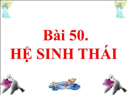 Bài giảng Sinh học 9 - Bài 50: Hệ sinh thái