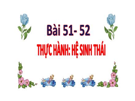 Bài giảng Sinh học 9 - Bài 51, 52: Thực hành hệ sinh thái