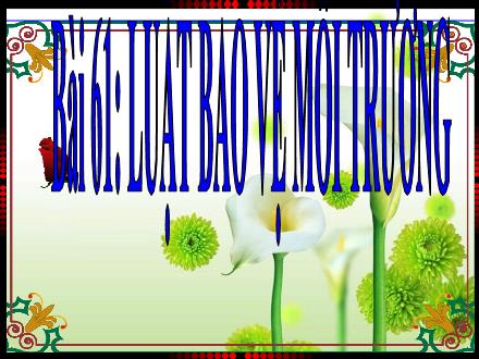 Bài giảng Sinh học 9 - Bài 61: Luật bảo vệ môi trường