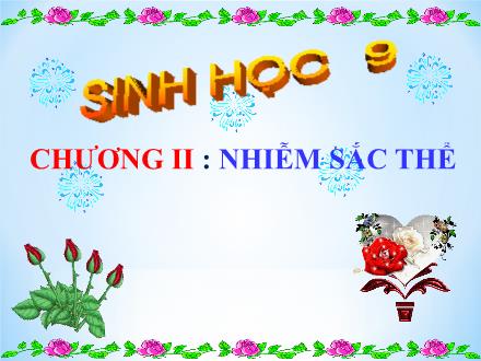 Bài giảng Sinh học 9 - Chương II: Nhiễm sắc thể - Bài 14: Thực hành quan sát hình thái nhiễm sắc thể