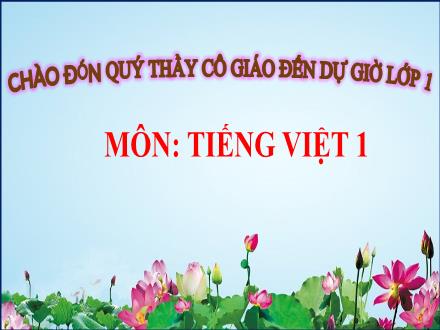 Bài giảng Tiếng Việt 1 (Kết nối tri thức) - Chủ đề 2: Mái ấm gia đình - Bài 1: Cả nhà đi chơi núi