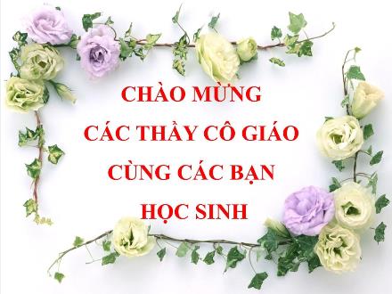 Bài giảng Toán 8 - Bài 5: Tam giác đồng dạng