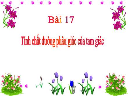 Bài giảng Toán 8 (Hình học) Sách Kết nối tri thức - Bài 17: Tính chất đường phân giác của tam giác