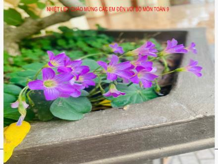 Bài giảng Toán 9 (Đại số) - Bài 2: Tần số. Tần số tương đối