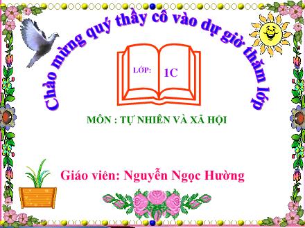 Bài giảng Tự nhiên & Xã hội 1 - Bài 13: An toàn trên đường (Tiết 1) - Nguyễn Ngọc Hường