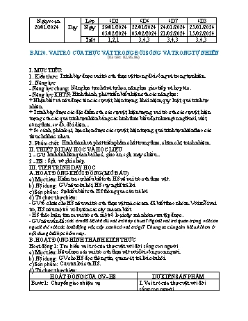 Kế hoạch bài dạy Khoa học tự nhiên 6 - Bài 20: Vai trò của thực vật trong đời sống và trong tự nhiên - Năm học 2023-2024